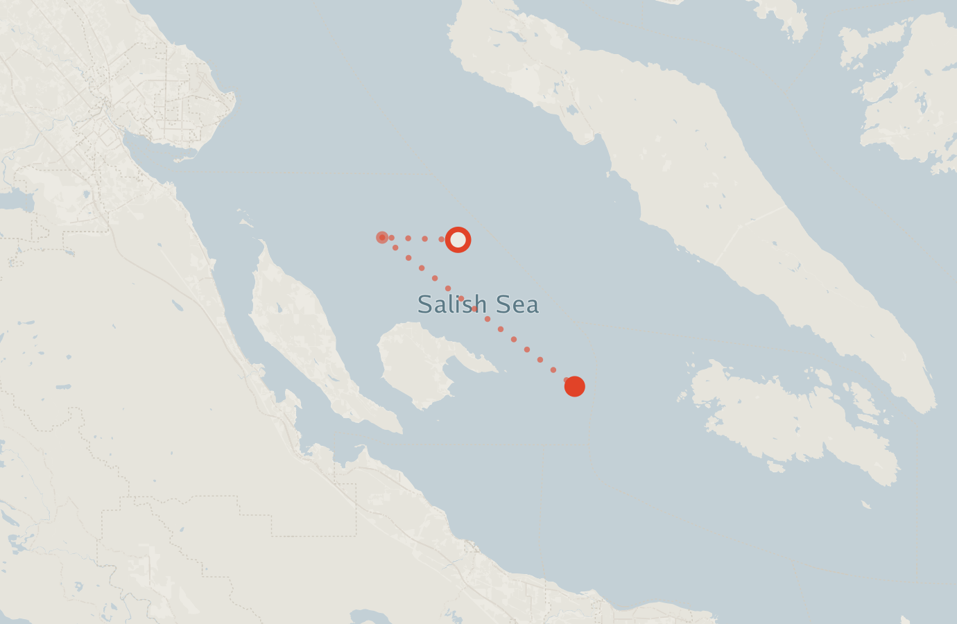 Activity map — real sighting points on an OpenStreetMap basemap
