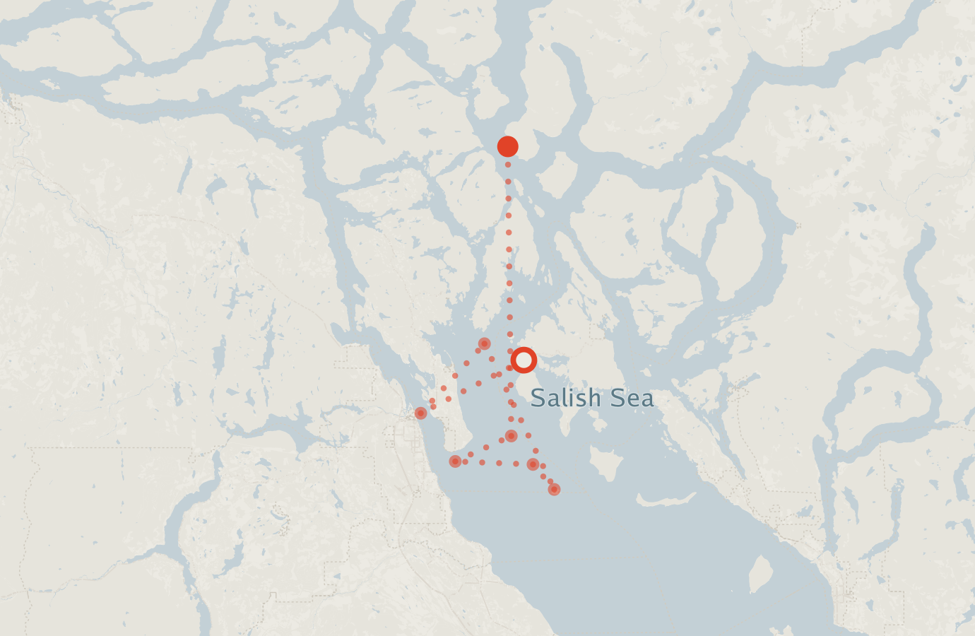 Activity map — real sighting points on an OpenStreetMap basemap