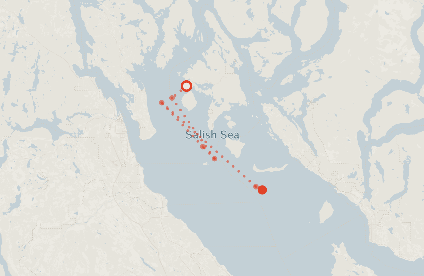 Activity map — real sighting points on an OpenStreetMap basemap