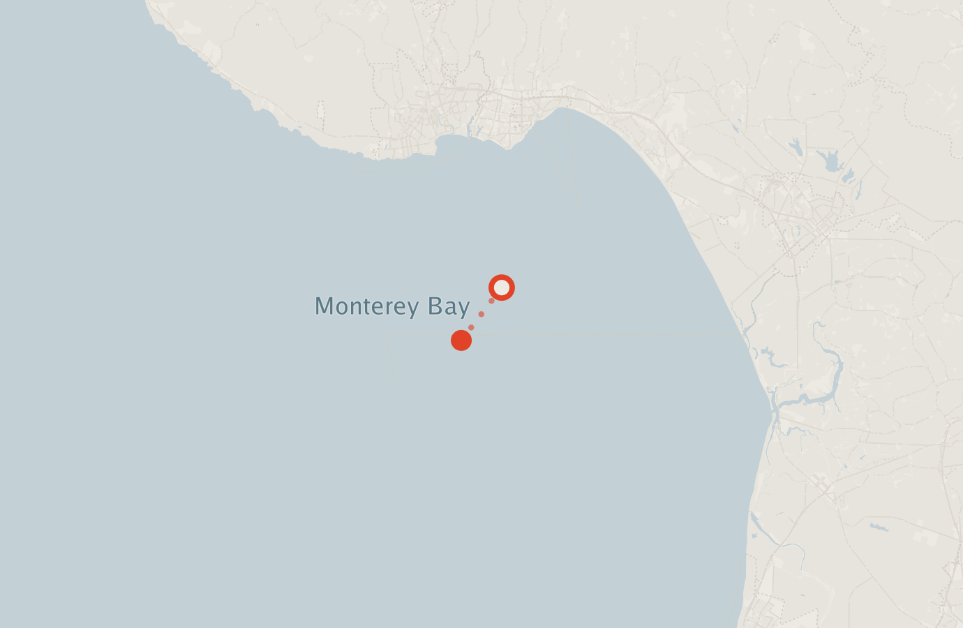Activity map — real sighting points on an OpenStreetMap basemap
