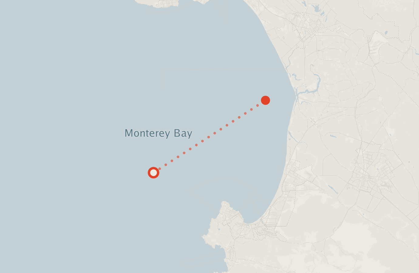 Activity map — real sighting points on an OpenStreetMap basemap