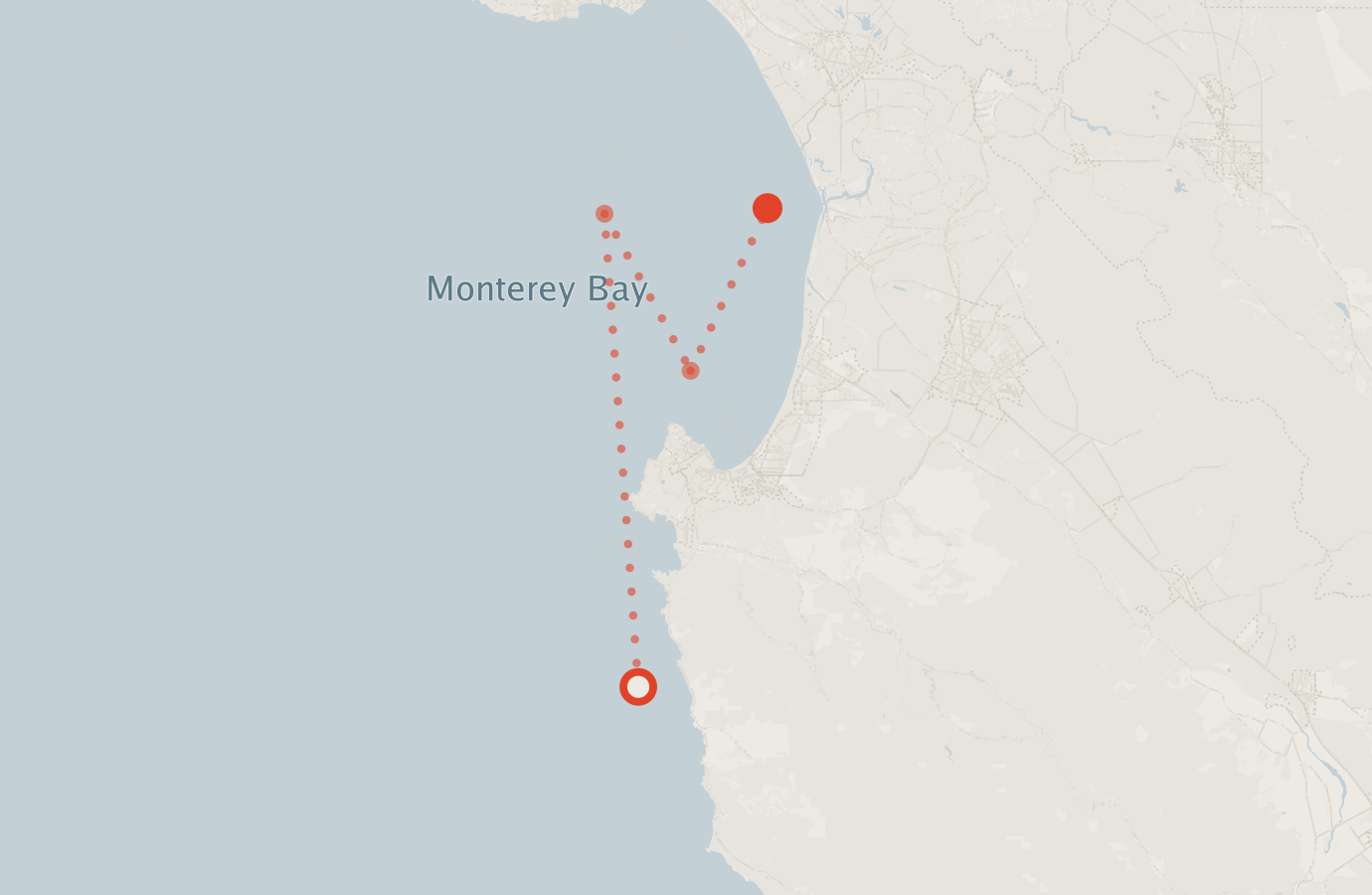 Activity map — real sighting points on an OpenStreetMap basemap