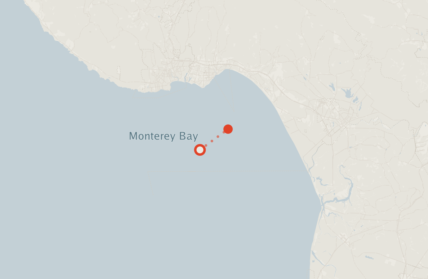 Activity map — real sighting points on an OpenStreetMap basemap