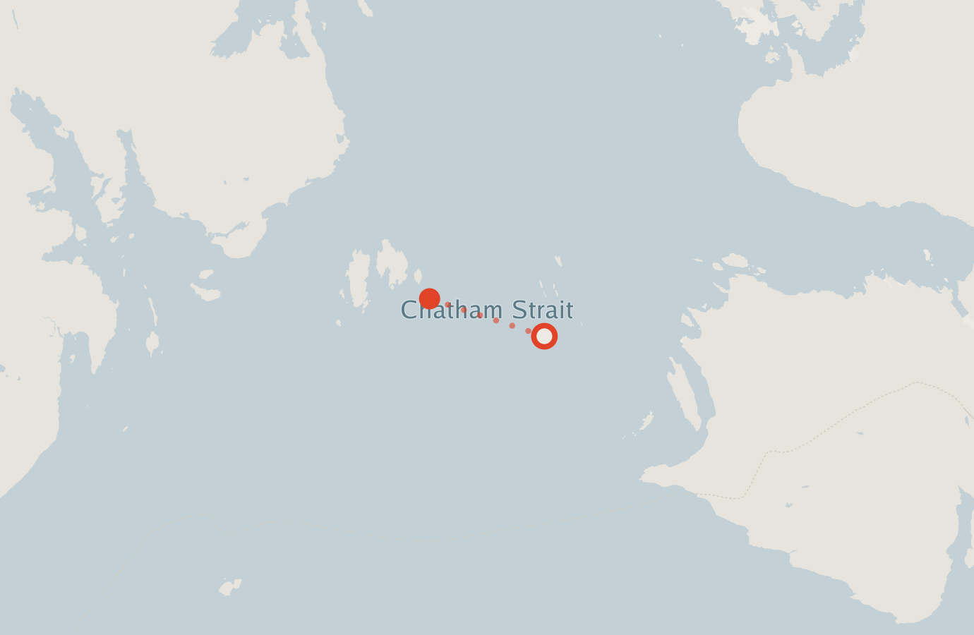 Activity map — real sighting points on an OpenStreetMap basemap