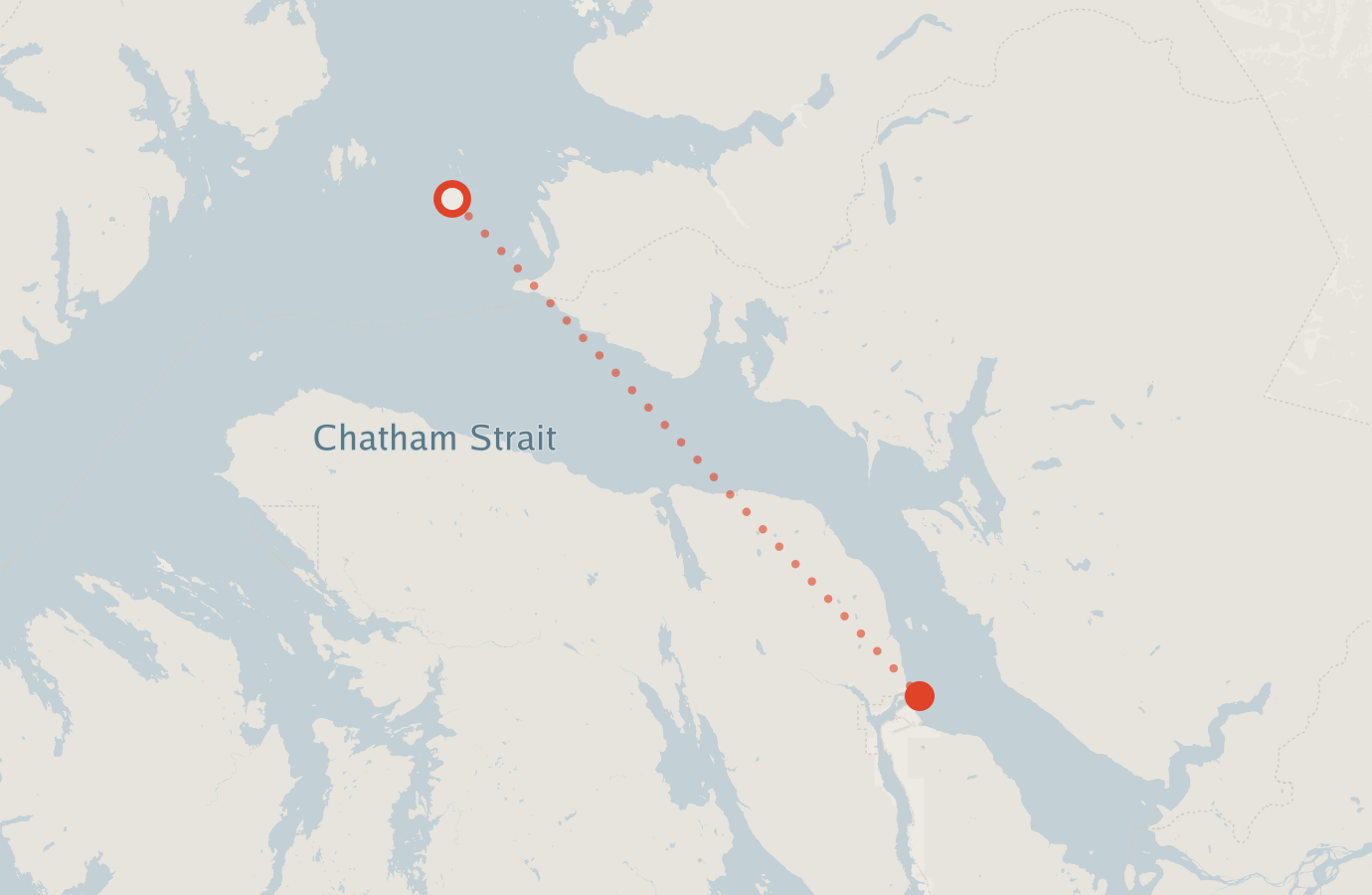 Activity map — real sighting points on an OpenStreetMap basemap