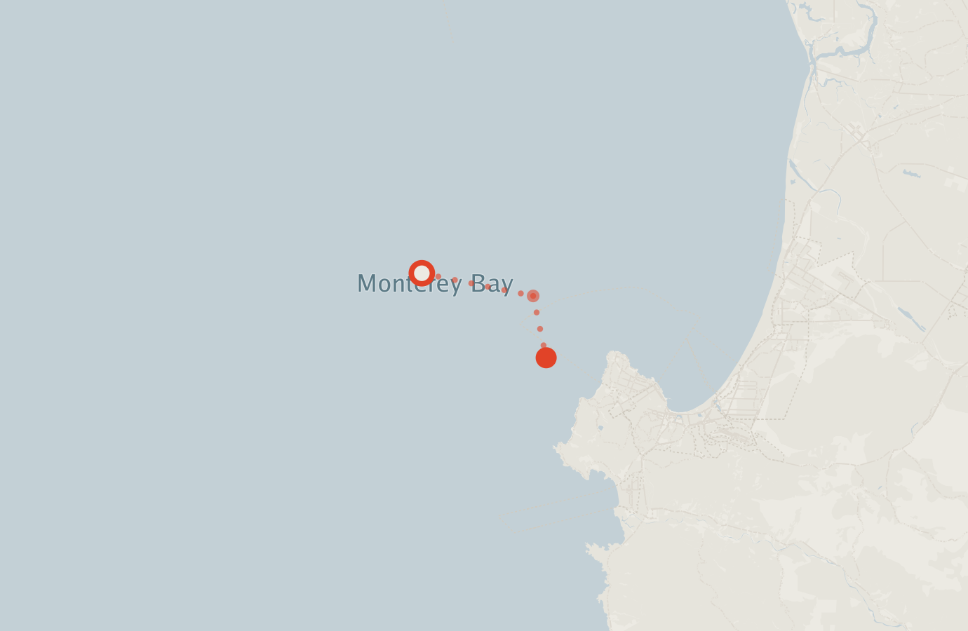 Activity map — real sighting points on an OpenStreetMap basemap