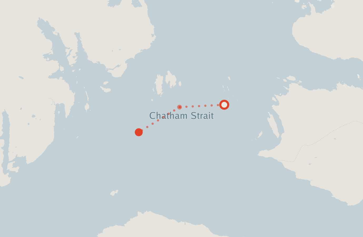 Activity map — real sighting points on an OpenStreetMap basemap