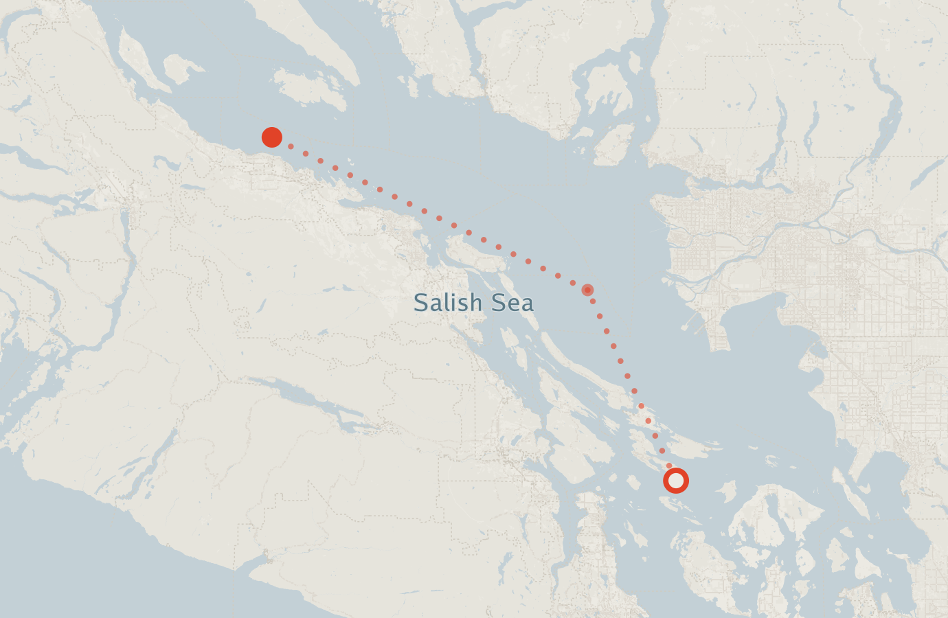 Activity map — real sighting points on an OpenStreetMap basemap