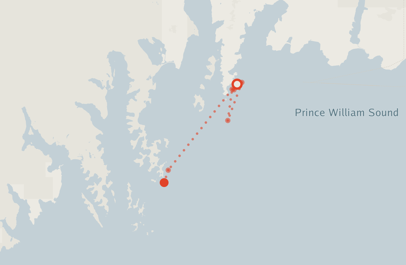 Activity map — real sighting points on an OpenStreetMap basemap