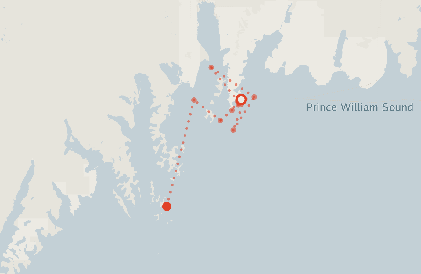 Activity map — real sighting points on an OpenStreetMap basemap