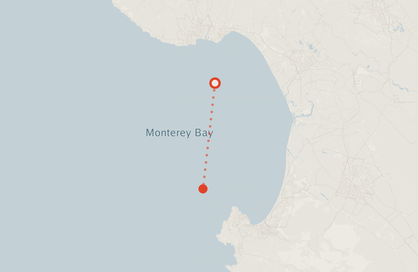 Activity map — real sighting points on an OpenStreetMap basemap