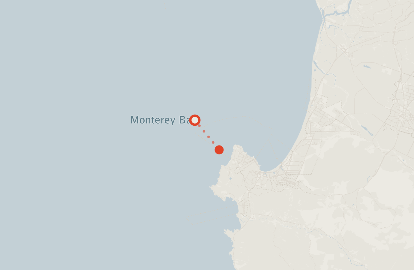 Activity map — real sighting points on an OpenStreetMap basemap