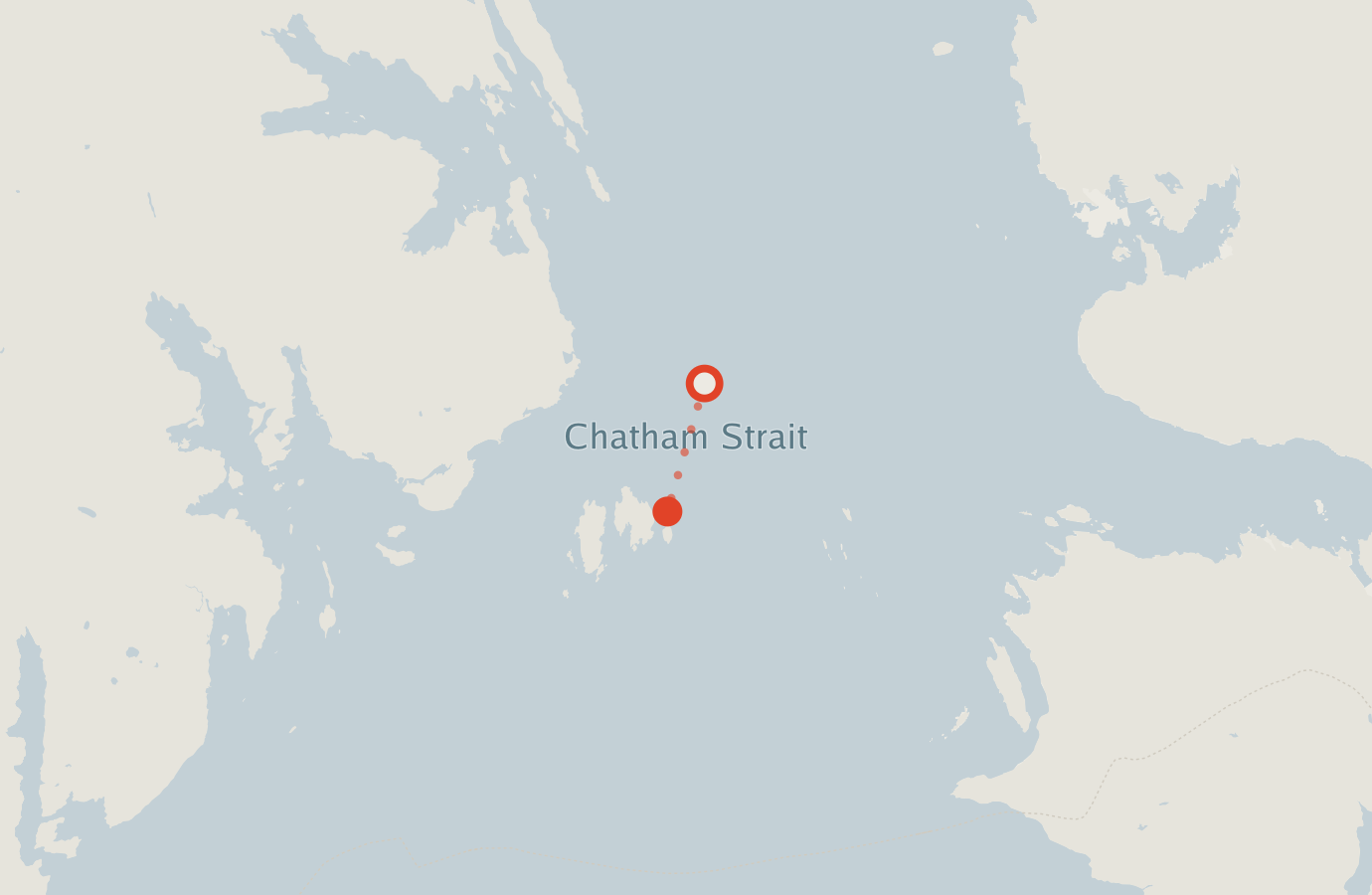Activity map — real sighting points on an OpenStreetMap basemap