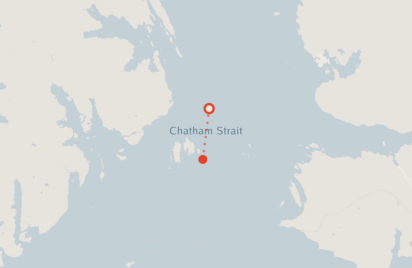 Activity map — real sighting points on an OpenStreetMap basemap