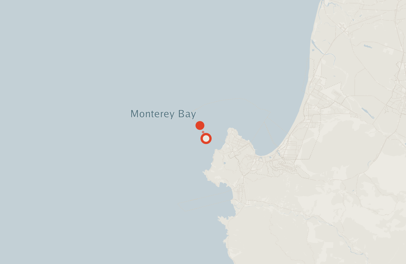 Activity map — real sighting points on an OpenStreetMap basemap