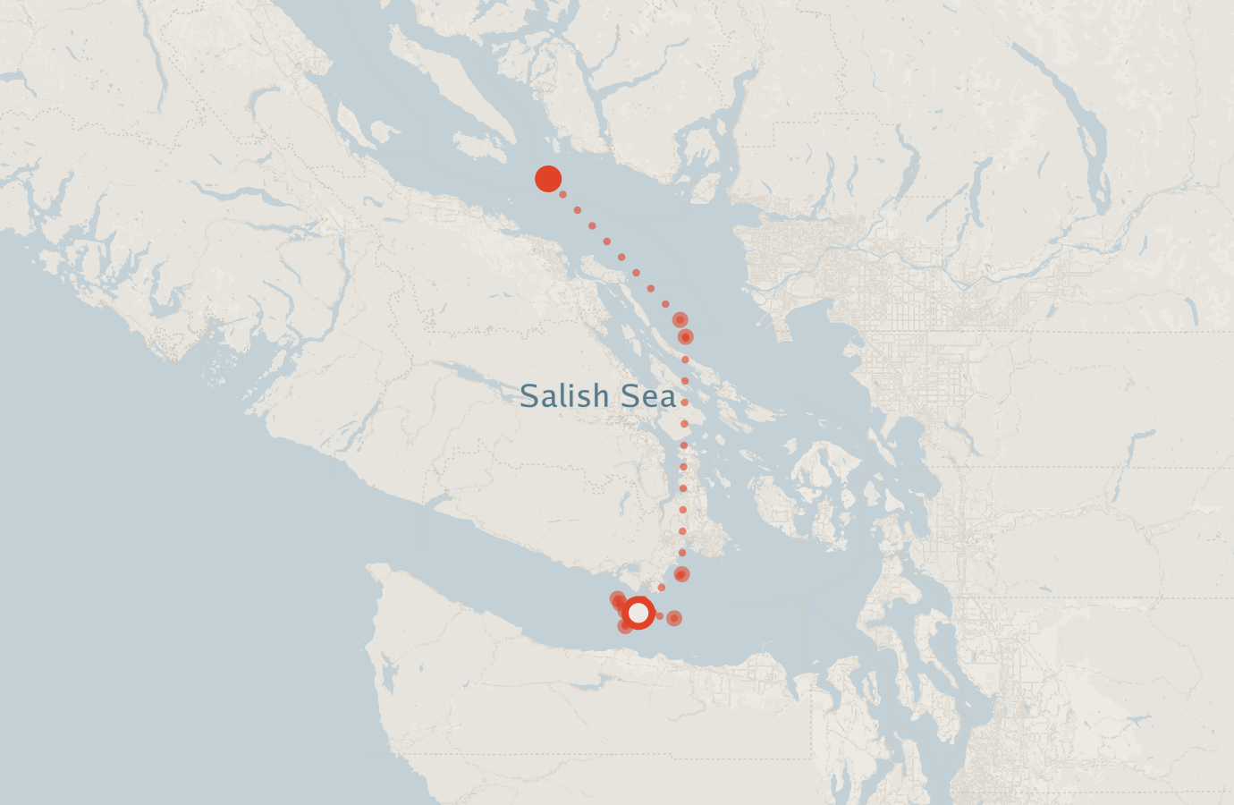 Activity map — real sighting points on an OpenStreetMap basemap
