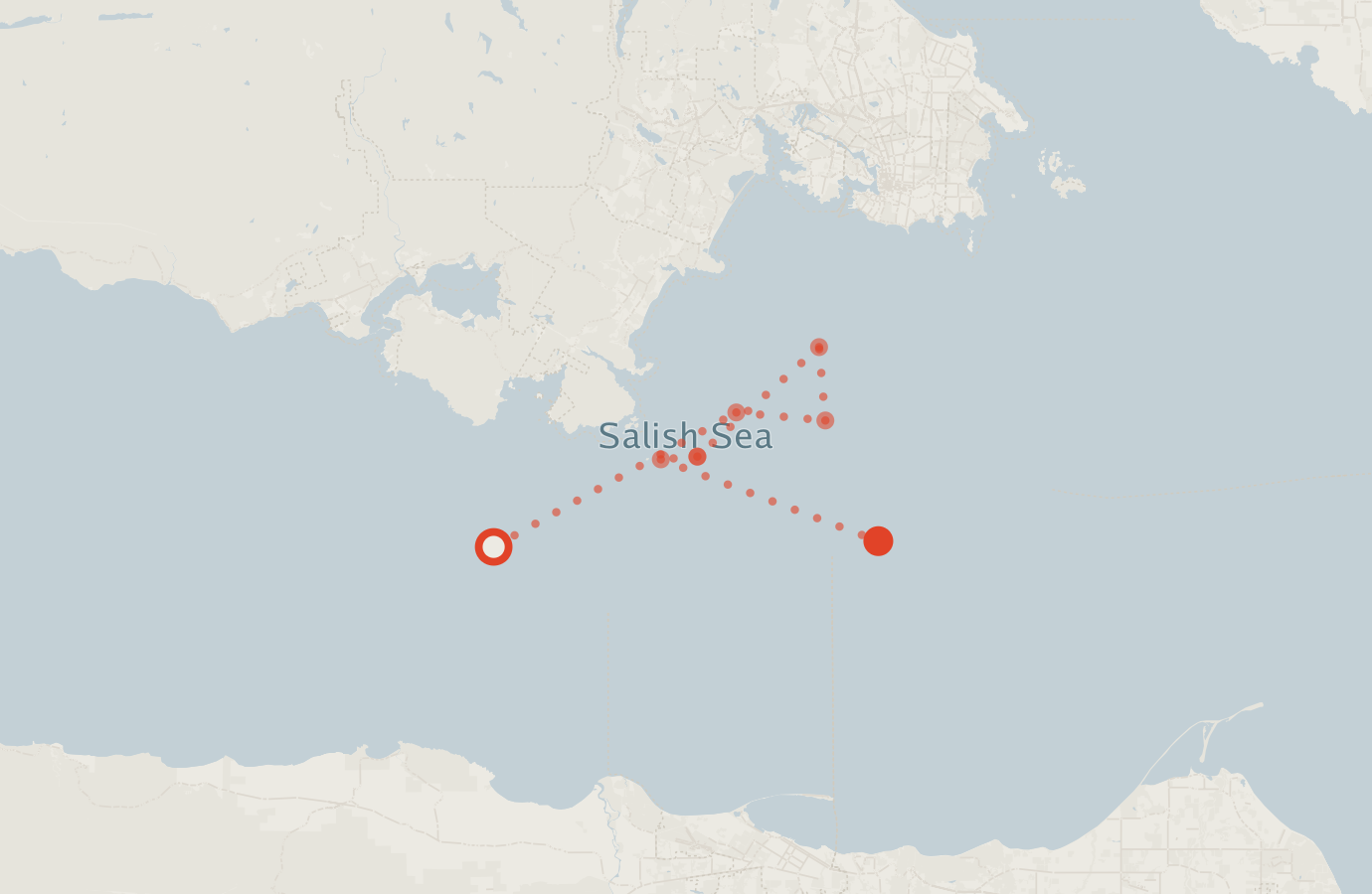 Activity map — real sighting points on an OpenStreetMap basemap