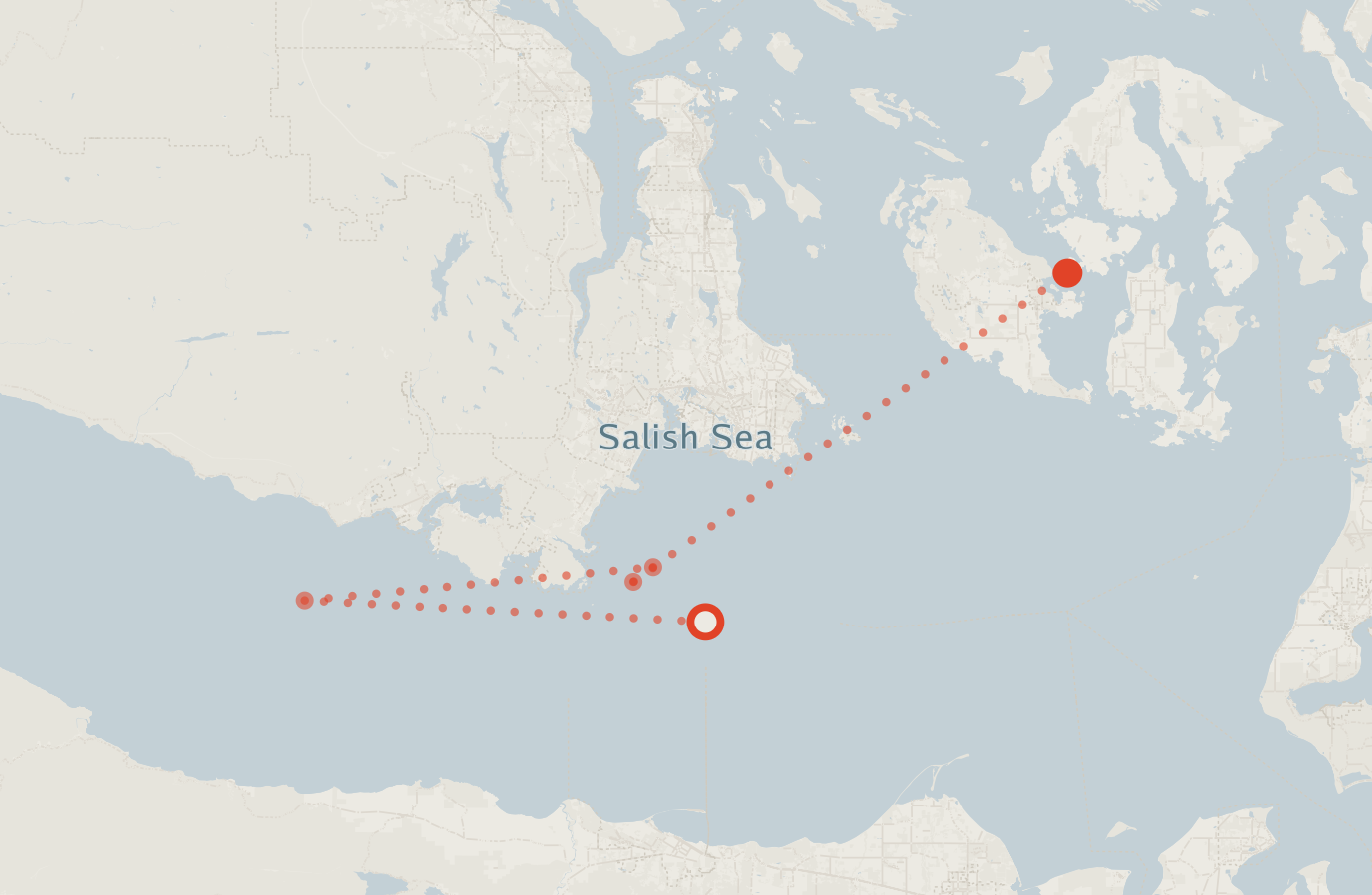 Activity map — real sighting points on an OpenStreetMap basemap