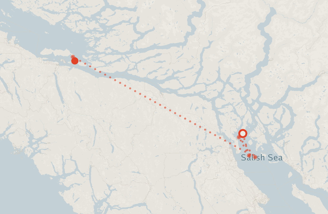 Activity map — real sighting points on an OpenStreetMap basemap