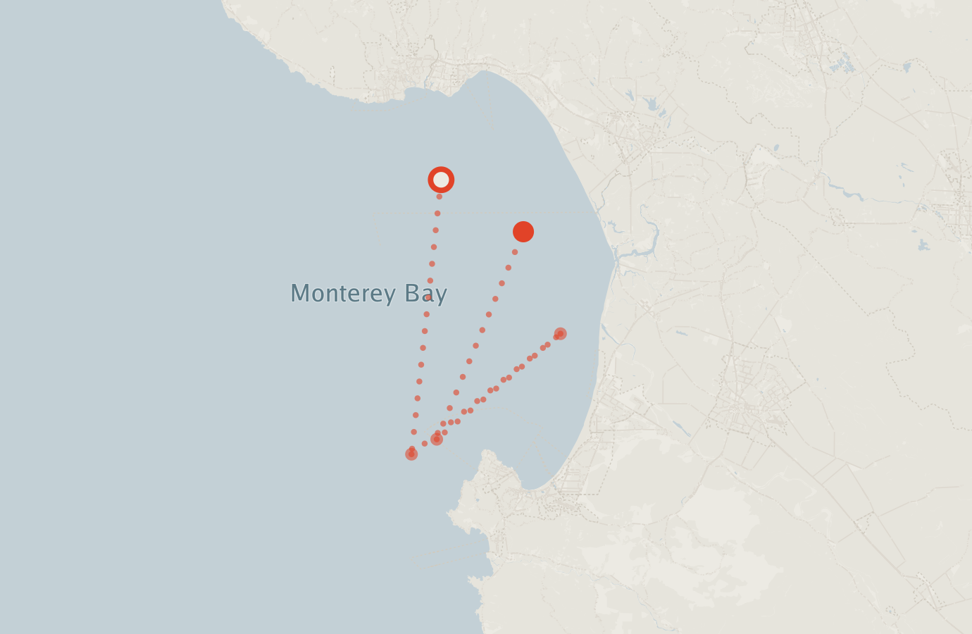 Activity map — real sighting points on an OpenStreetMap basemap