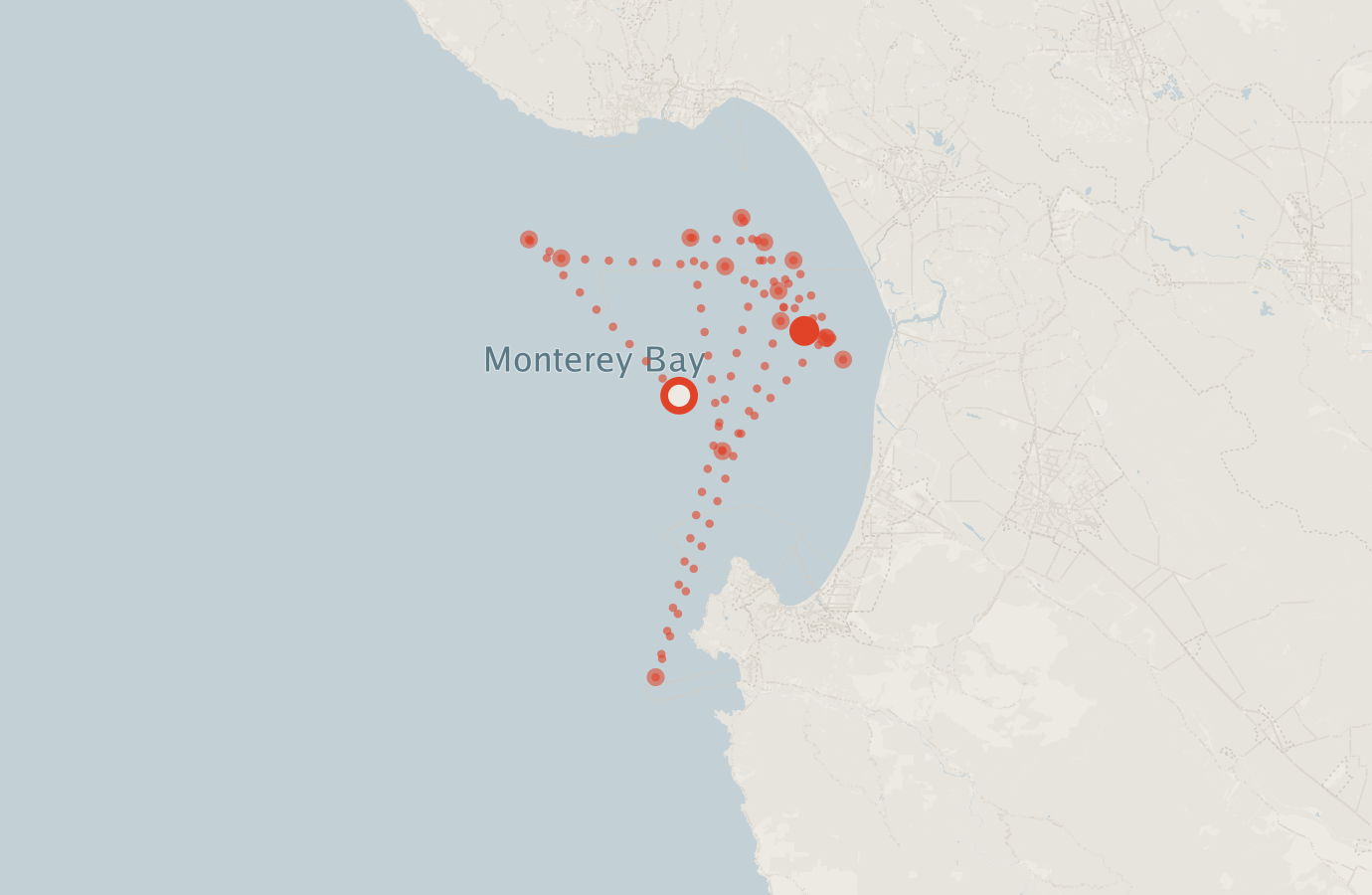 Activity map — real sighting points on an OpenStreetMap basemap