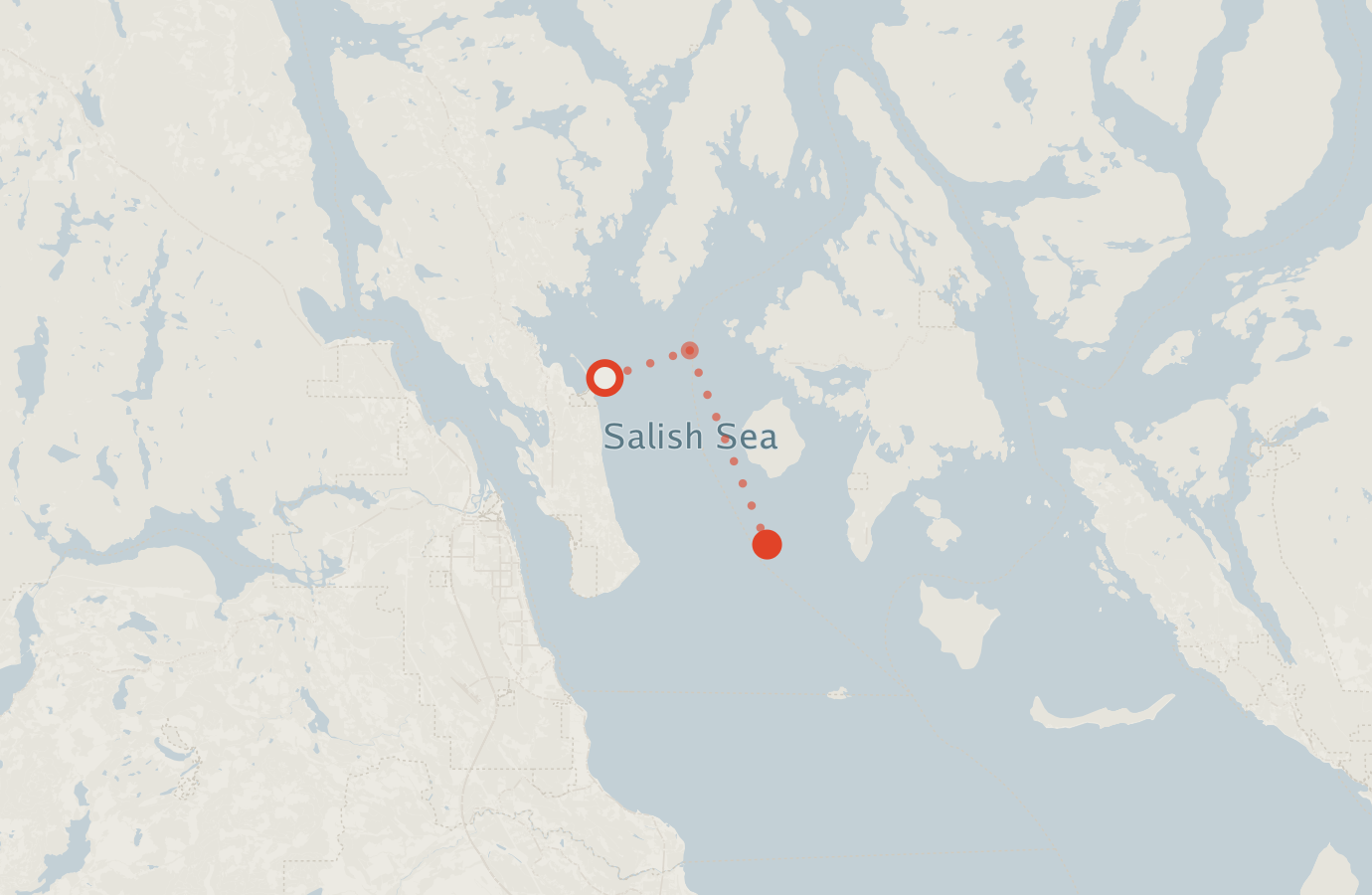 Activity map — real sighting points on an OpenStreetMap basemap