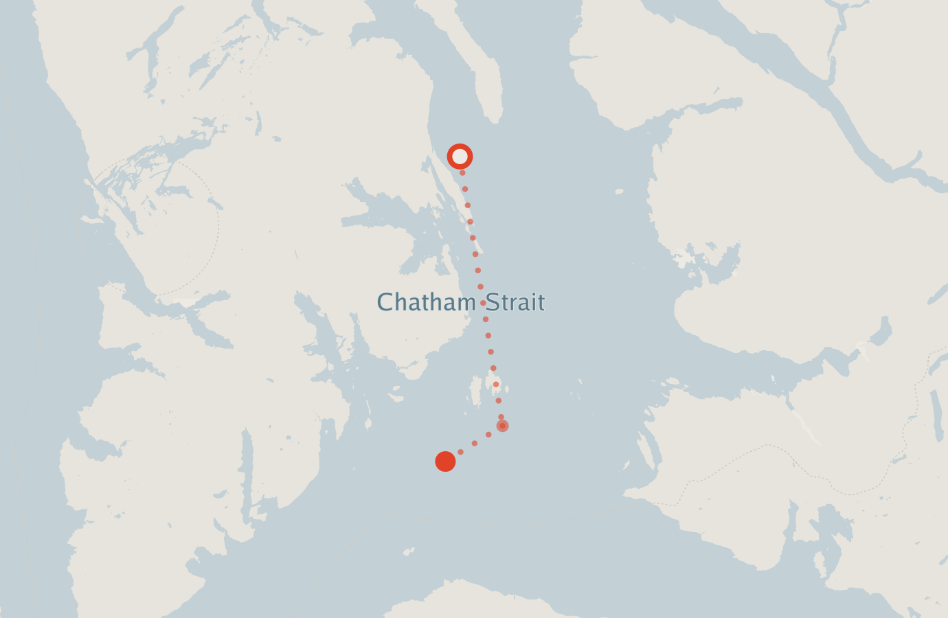 Activity map — real sighting points on an OpenStreetMap basemap