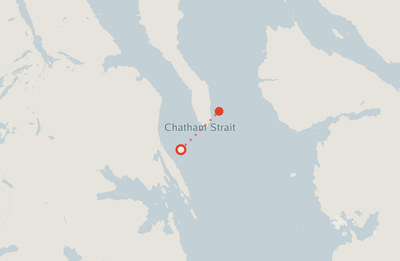 Activity map — real sighting points on an OpenStreetMap basemap