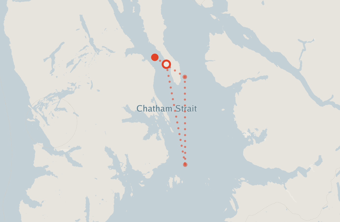Activity map — real sighting points on an OpenStreetMap basemap