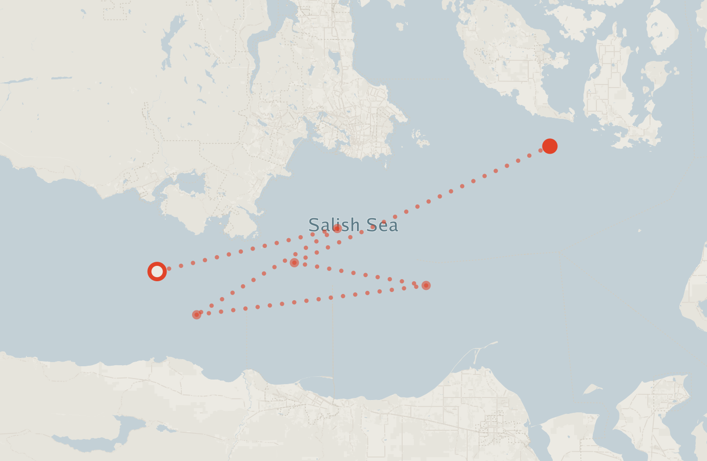 Activity map — real sighting points on an OpenStreetMap basemap