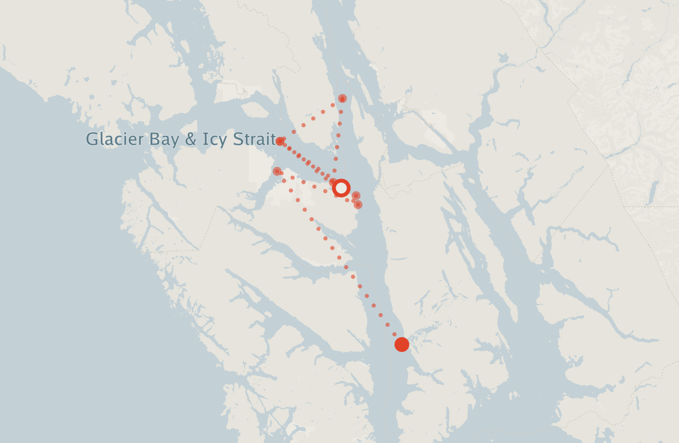 Activity map — real sighting points on an OpenStreetMap basemap