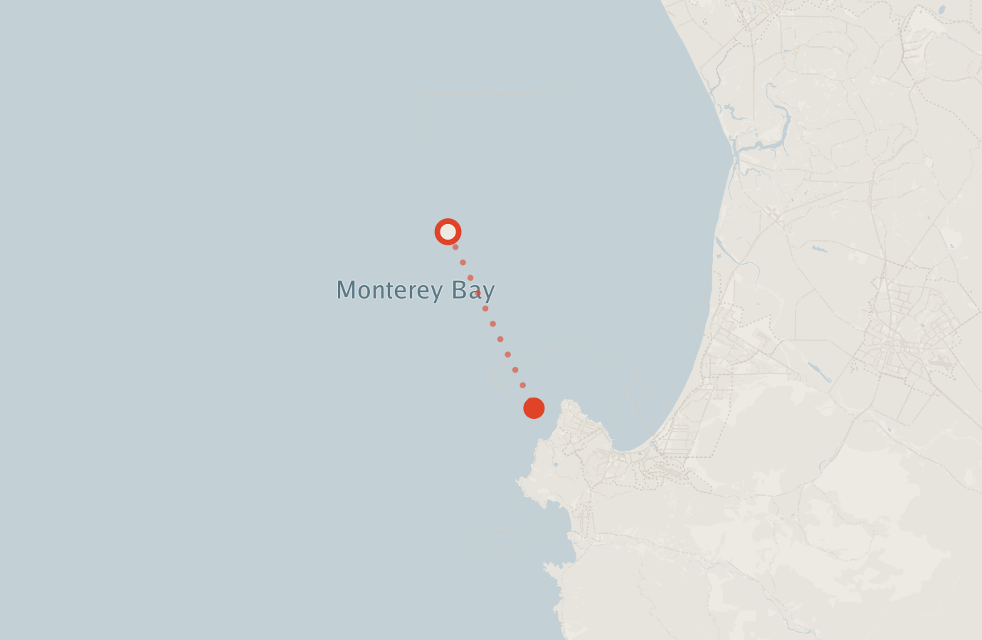 Activity map — real sighting points on an OpenStreetMap basemap