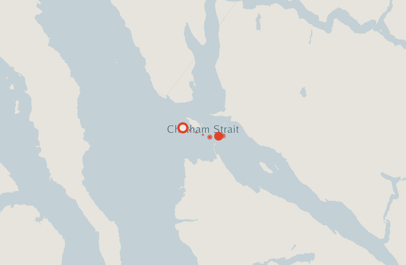Activity map — real sighting points on an OpenStreetMap basemap