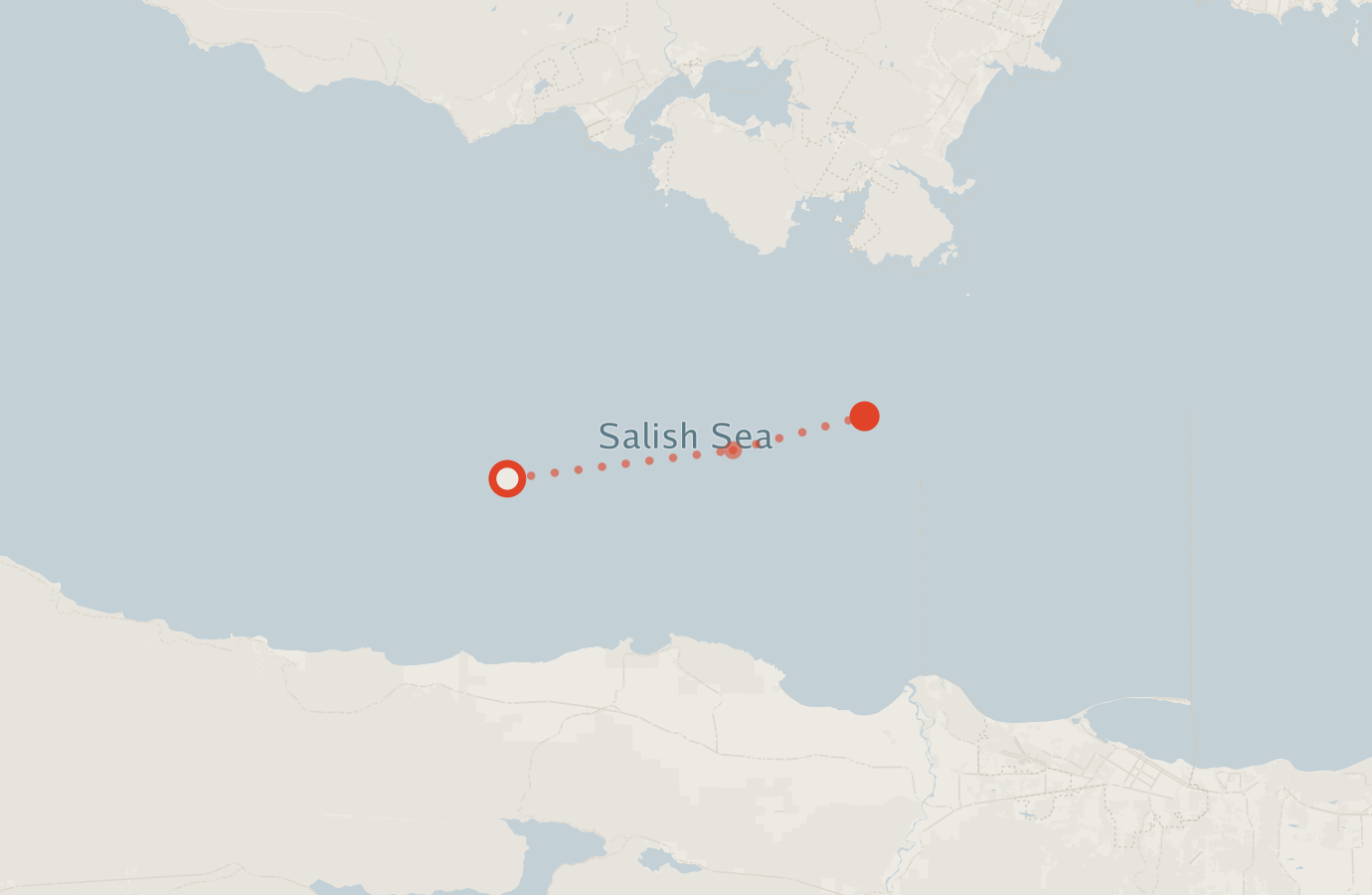 Activity map — real sighting points on an OpenStreetMap basemap