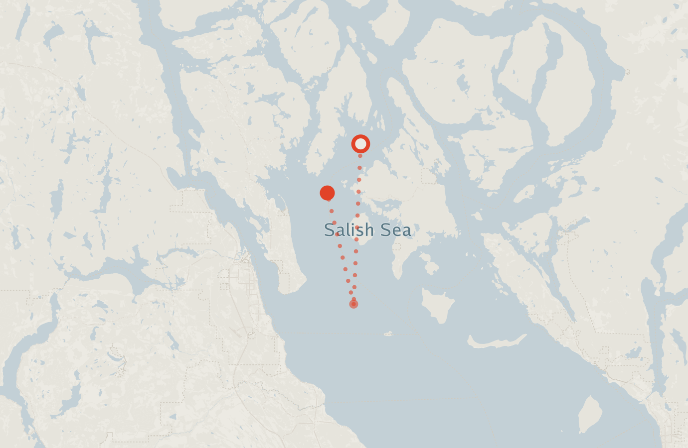 Activity map — real sighting points on an OpenStreetMap basemap