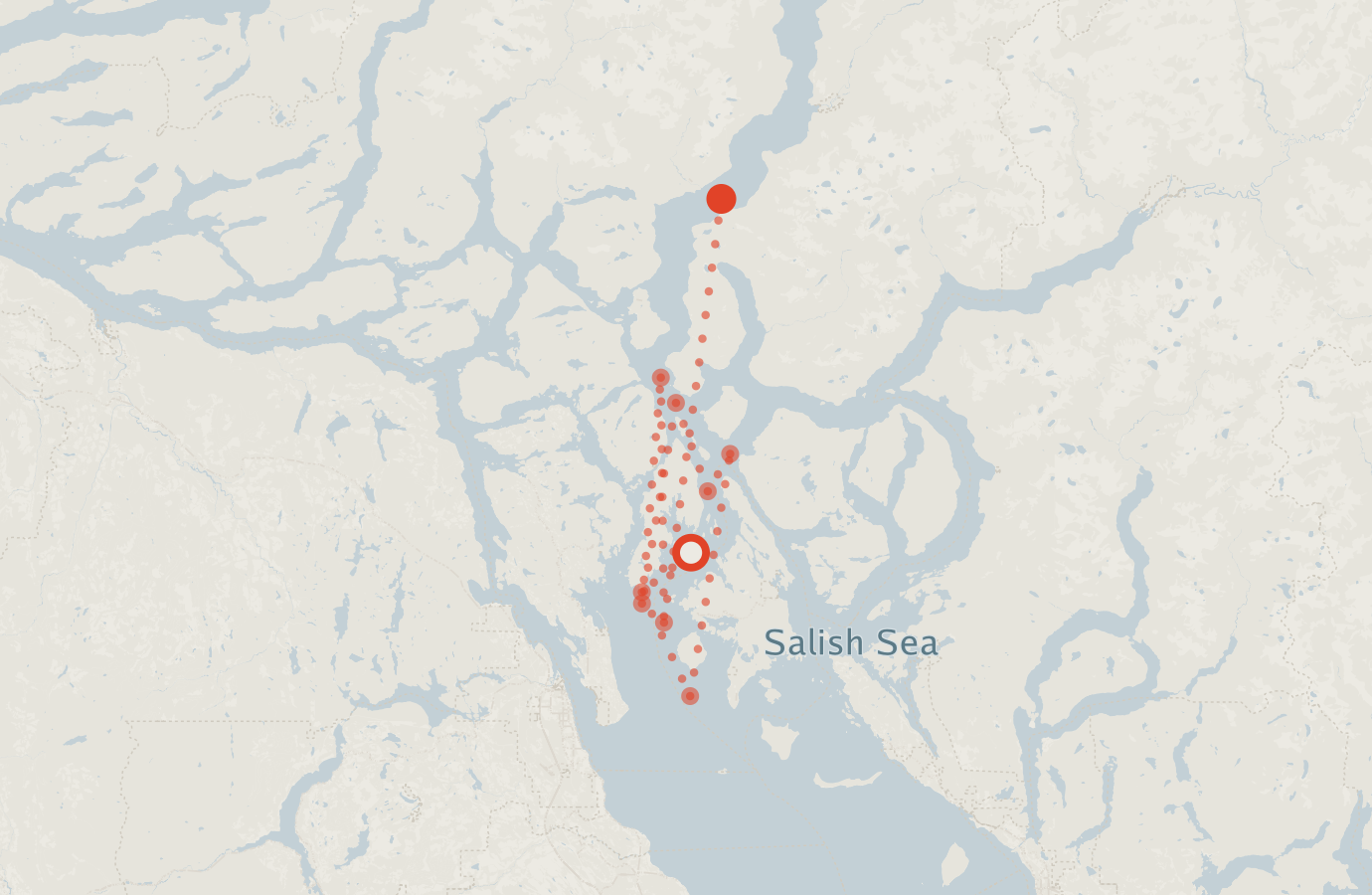 Activity map — real sighting points on an OpenStreetMap basemap