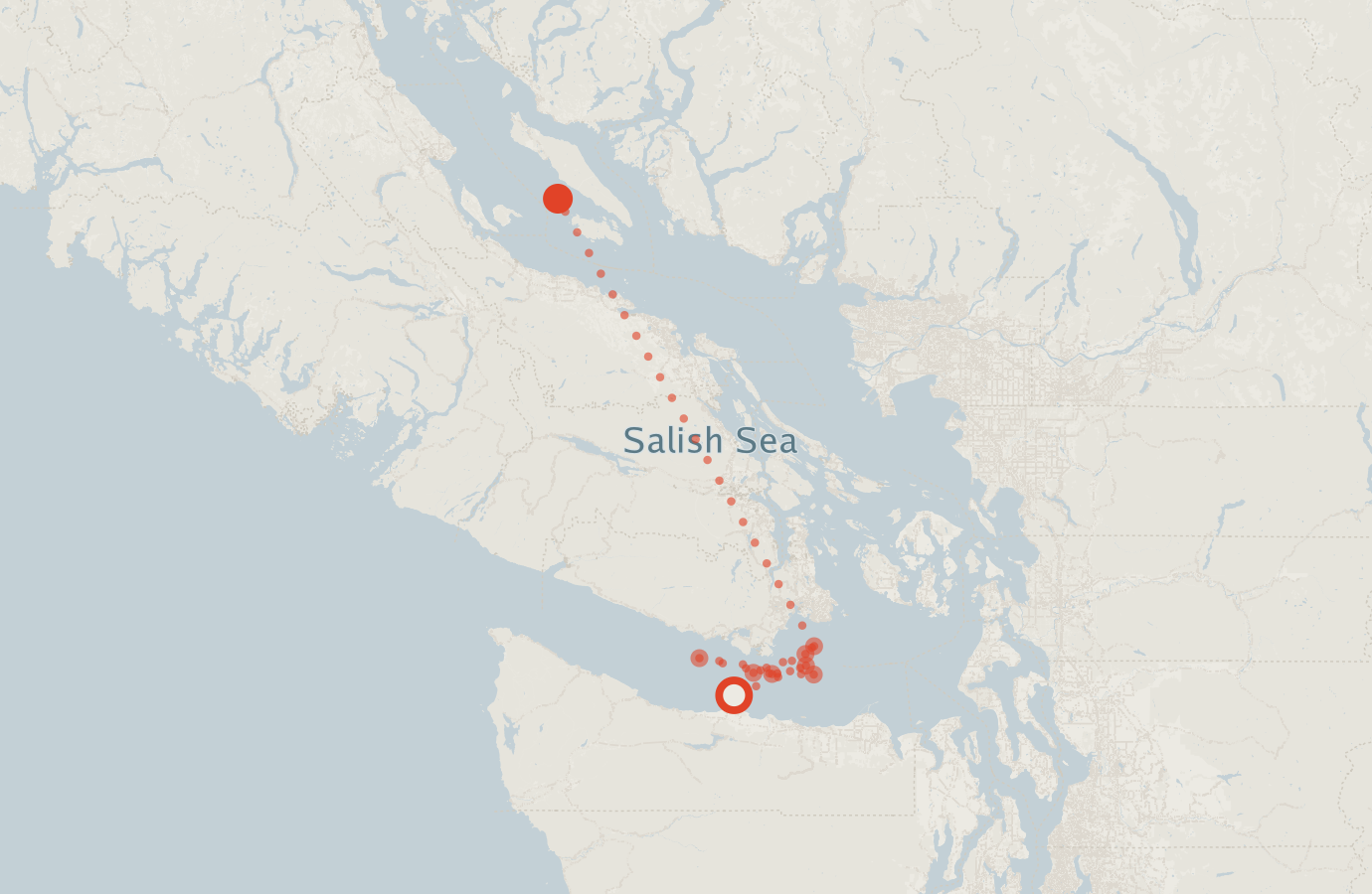 Activity map — real sighting points on an OpenStreetMap basemap