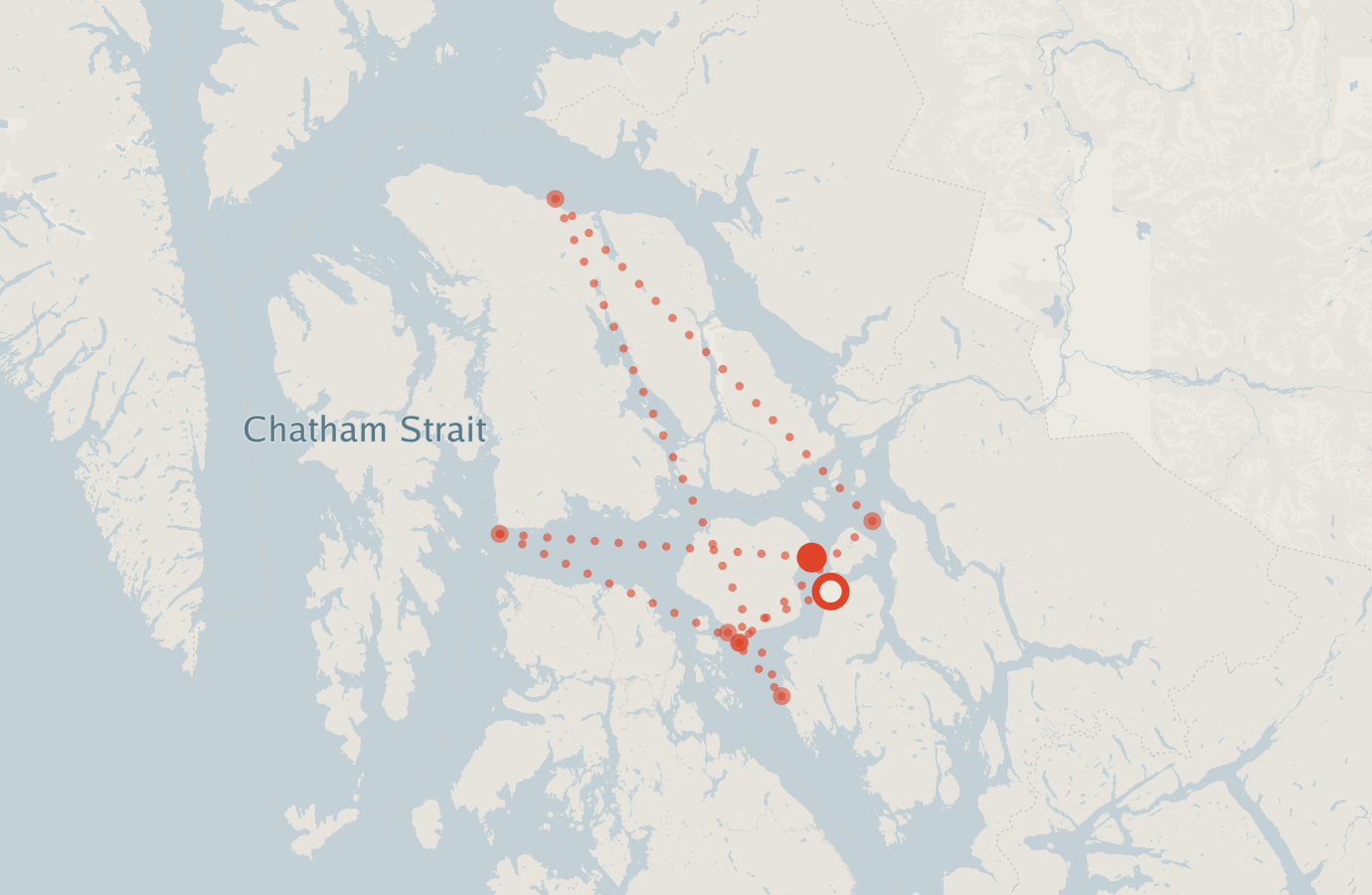 Activity map — real sighting points on an OpenStreetMap basemap