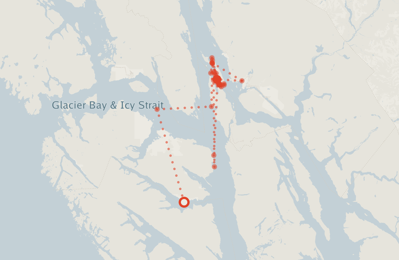 Activity map — real sighting points on an OpenStreetMap basemap