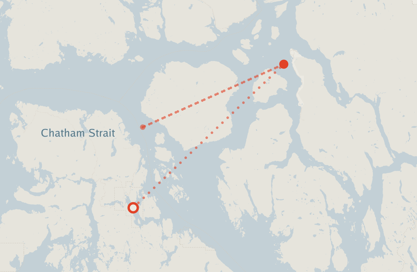 Activity map — real sighting points on an OpenStreetMap basemap