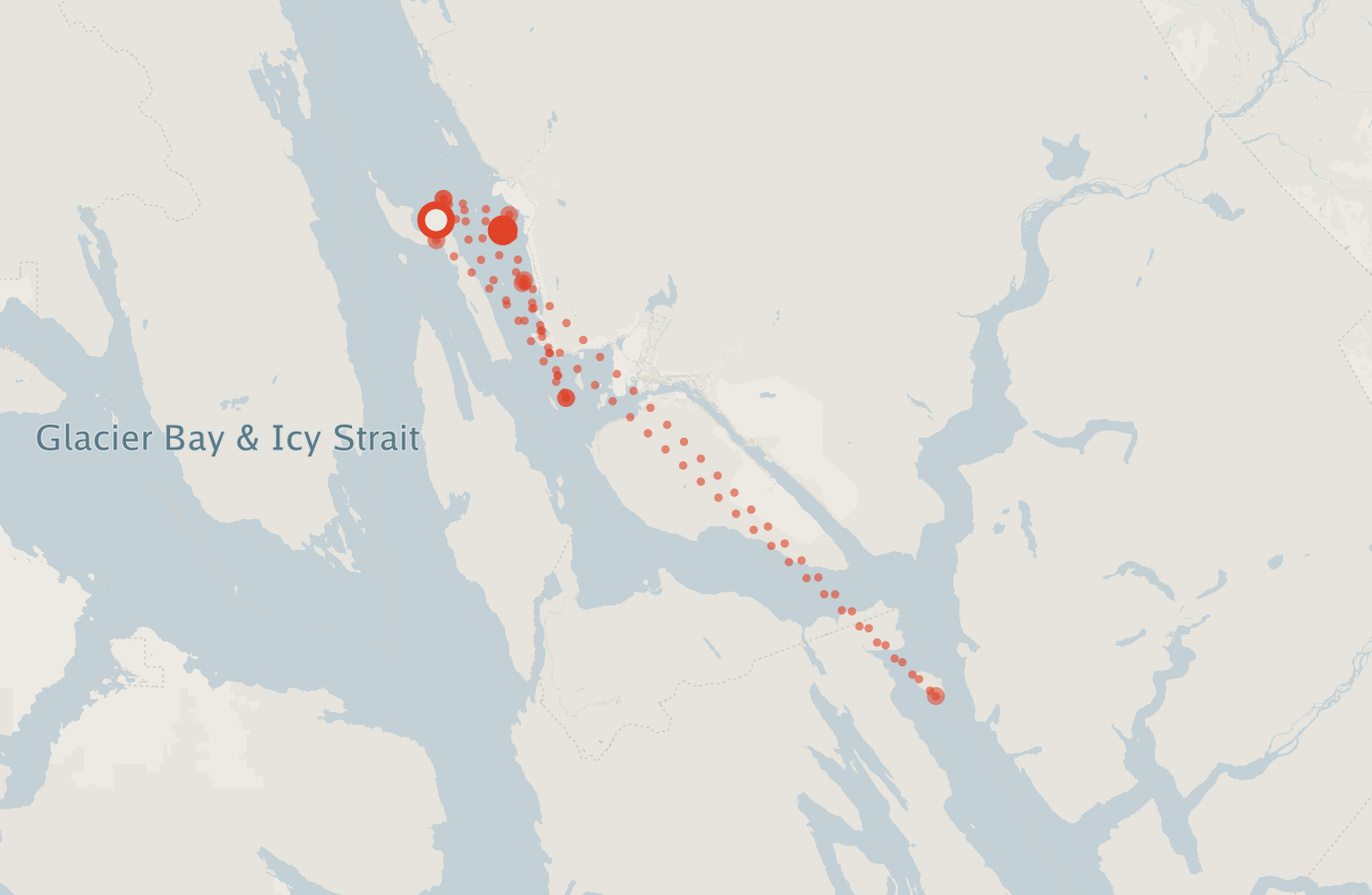 Activity map — real sighting points on an OpenStreetMap basemap