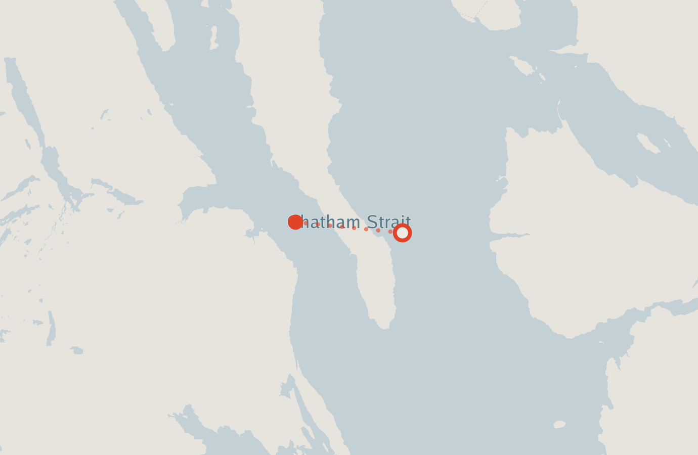 Activity map — real sighting points on an OpenStreetMap basemap