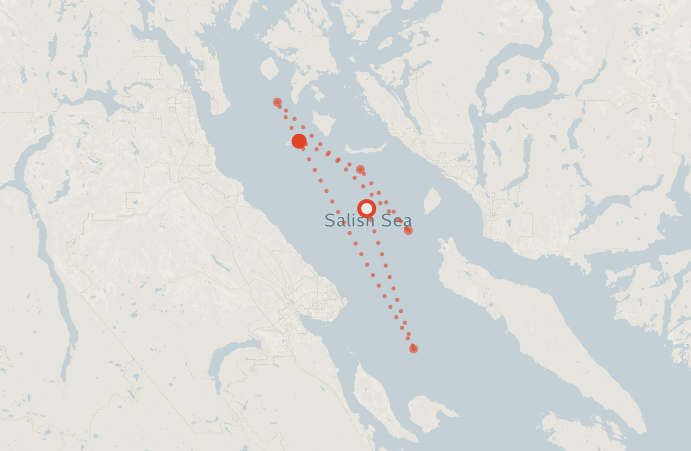 Activity map — real sighting points on an OpenStreetMap basemap