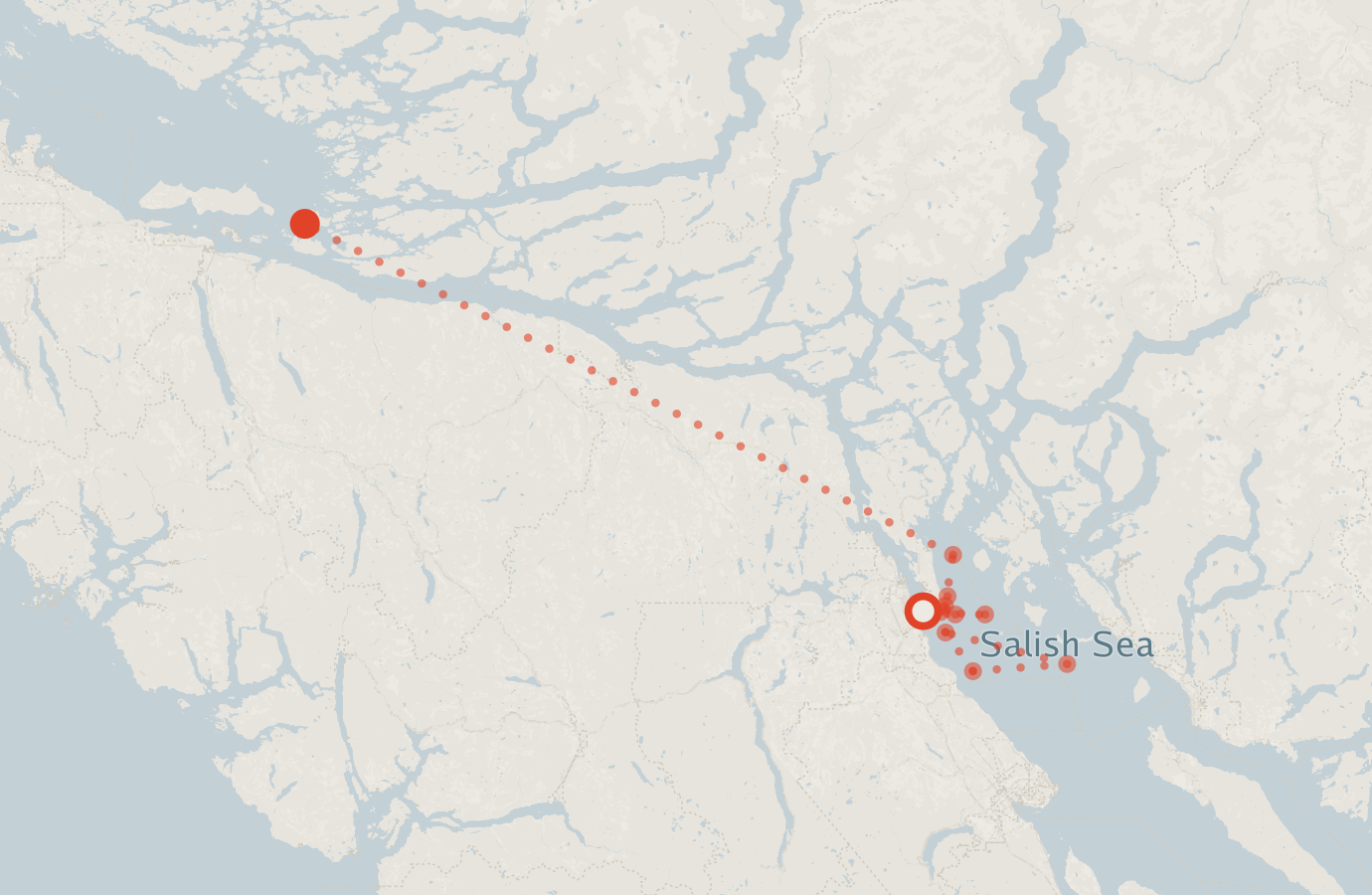 Activity map — real sighting points on an OpenStreetMap basemap