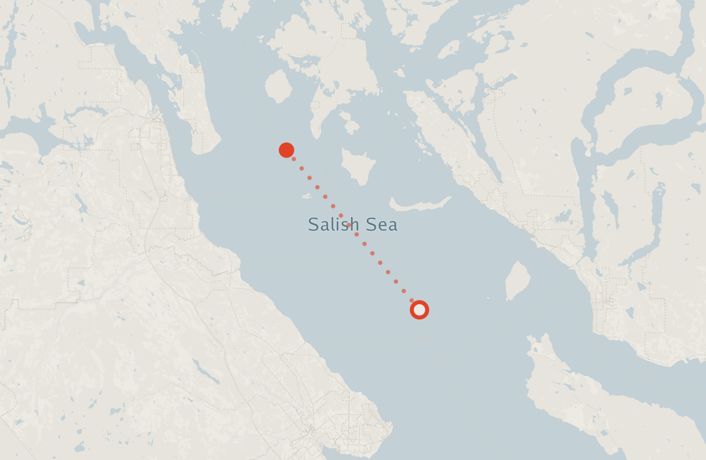 Activity map — real sighting points on an OpenStreetMap basemap