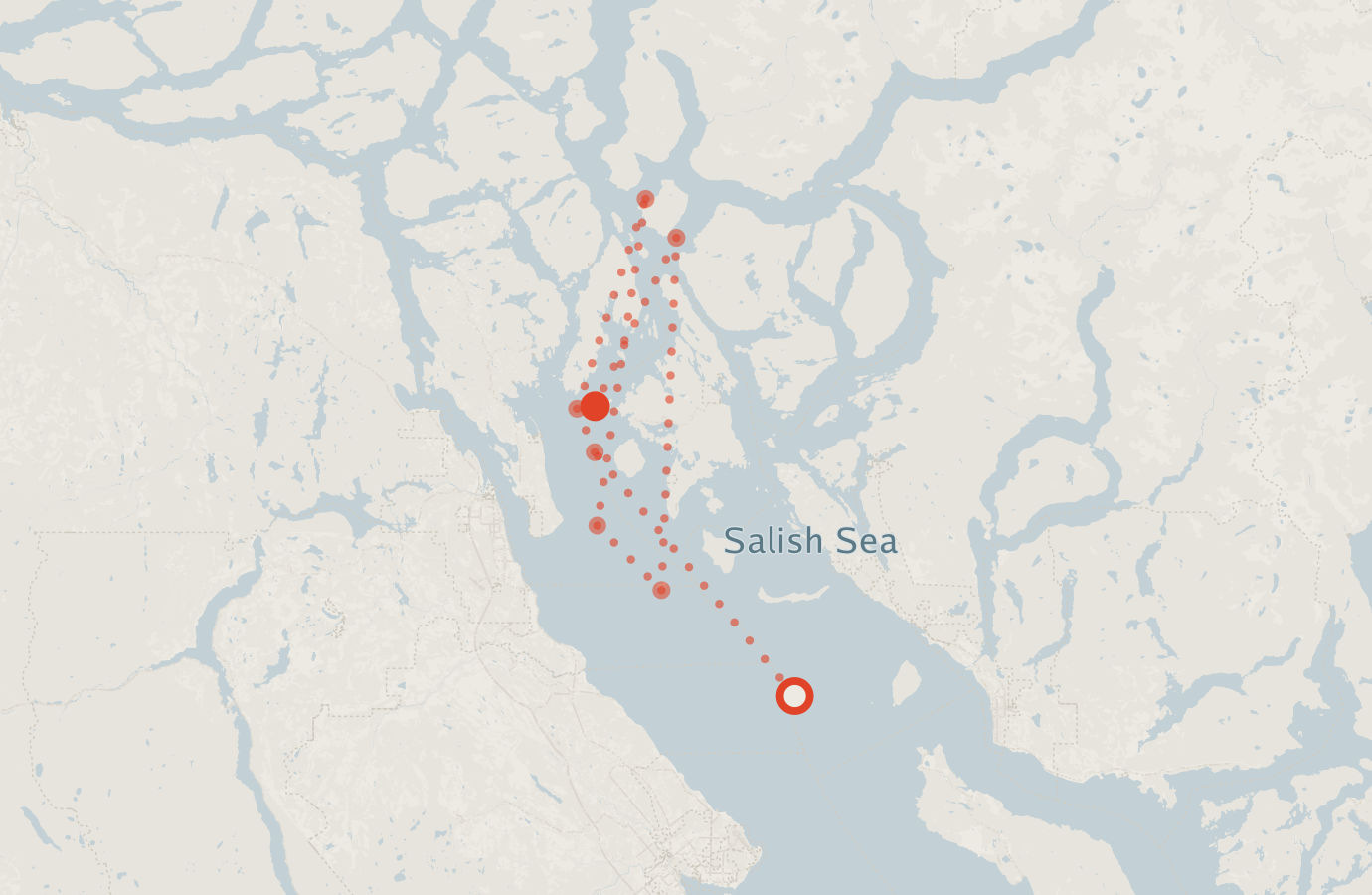 Activity map — real sighting points on an OpenStreetMap basemap