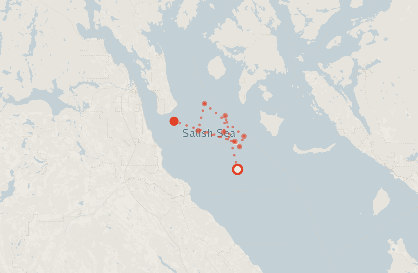 Activity map — real sighting points on an OpenStreetMap basemap