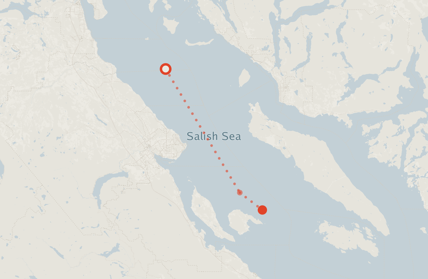 Activity map — real sighting points on an OpenStreetMap basemap