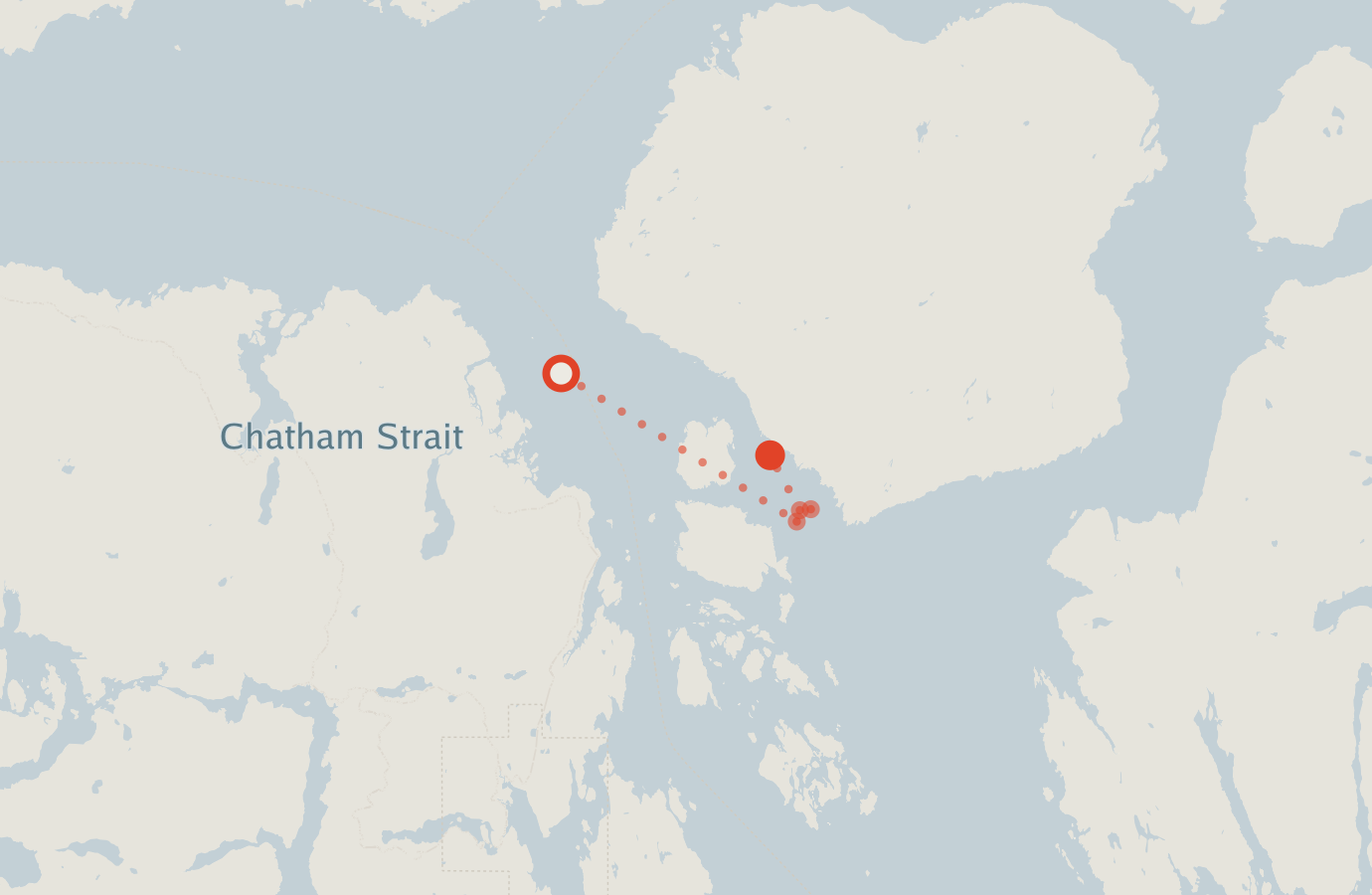 Activity map — real sighting points on an OpenStreetMap basemap
