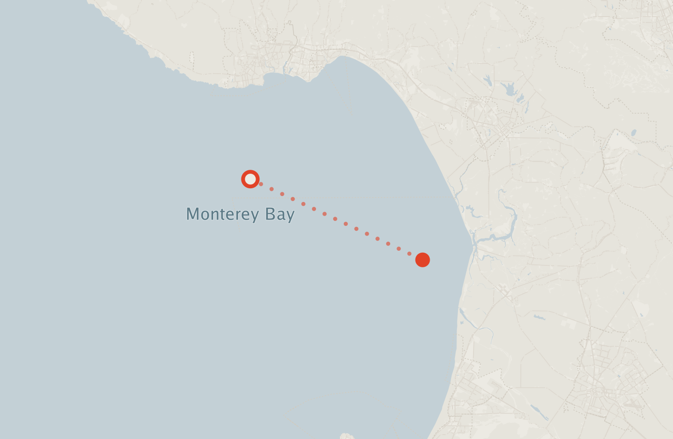 Activity map — real sighting points on an OpenStreetMap basemap